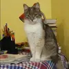Отзыв от Динара Вавилова